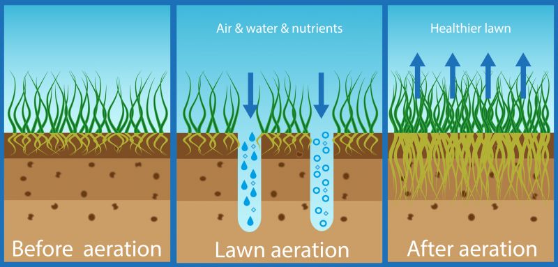 Soil Testing for Repair Timing