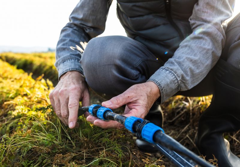 Leach Field Repair Service